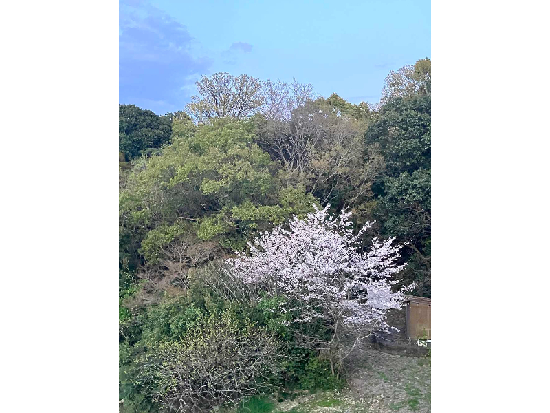 佳日写真教室卒業展